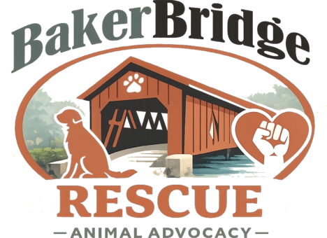 Baker Bridge Rescue