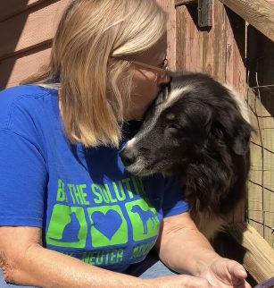 A quiet moment with a border collie