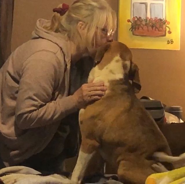 Betty kissing a rescued hound