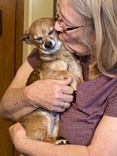 Betty kissing a senior chihuahua