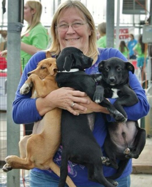 Three puppies in one armful