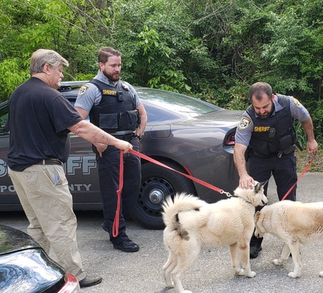 Working a rescue with local deputies