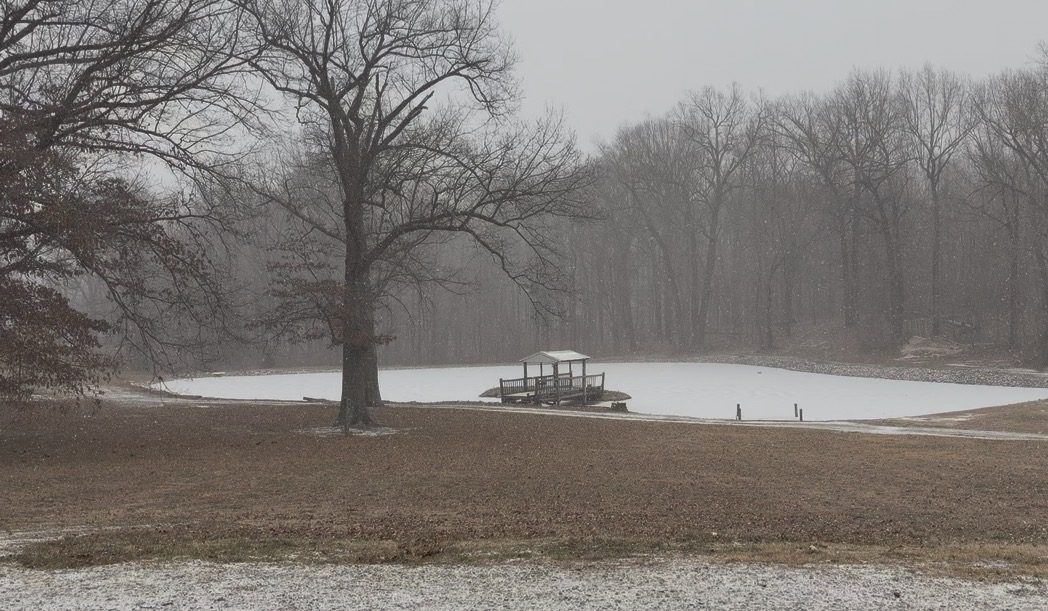The pond in winter snow